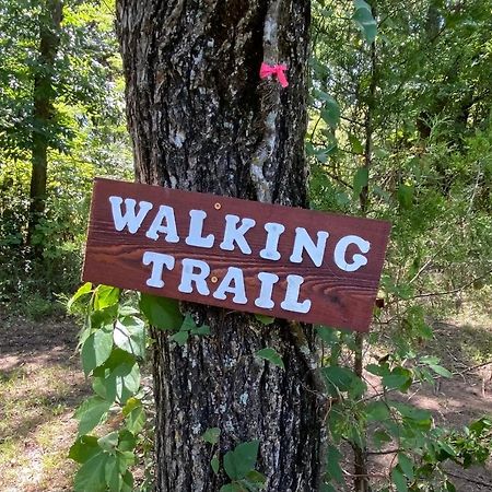 Kingston The Woods Lodging المظهر الخارجي الصورة